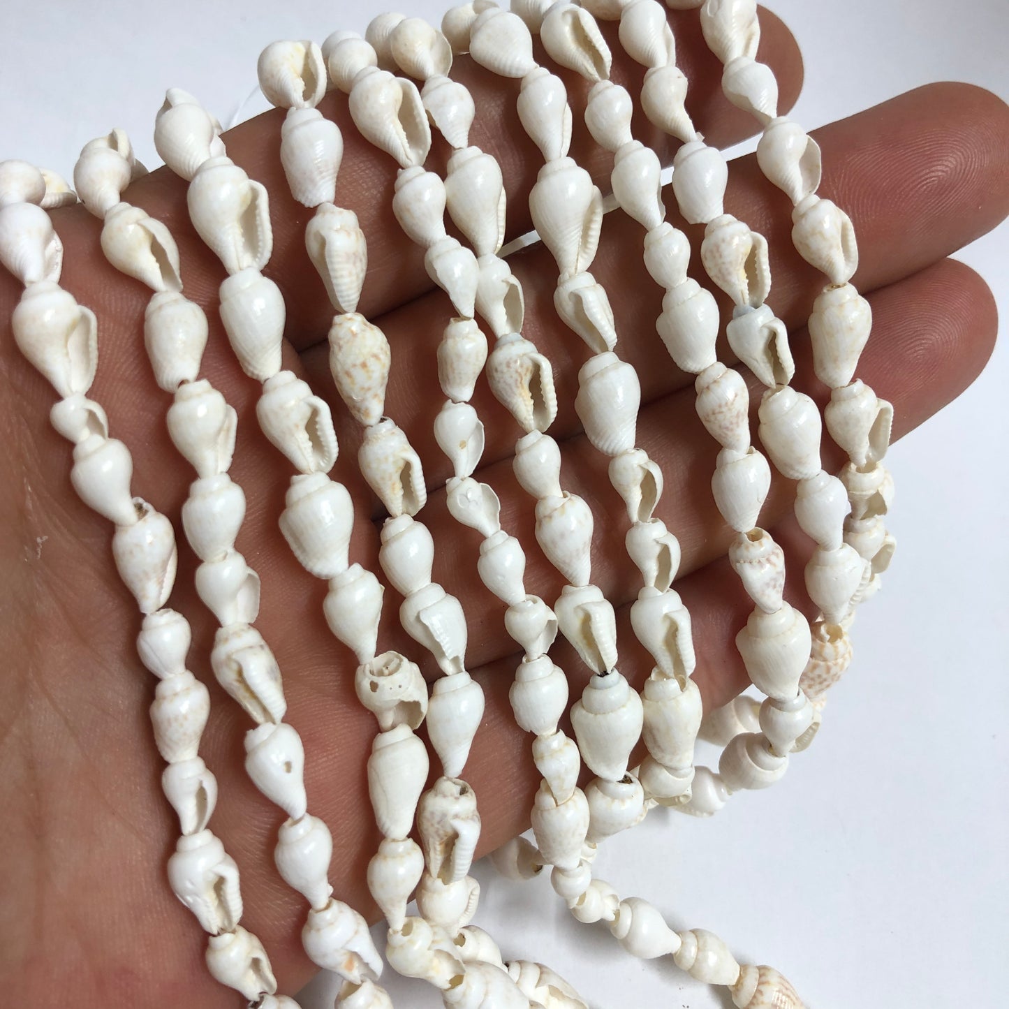 Vergoldete 10 x 13 mm Muschel