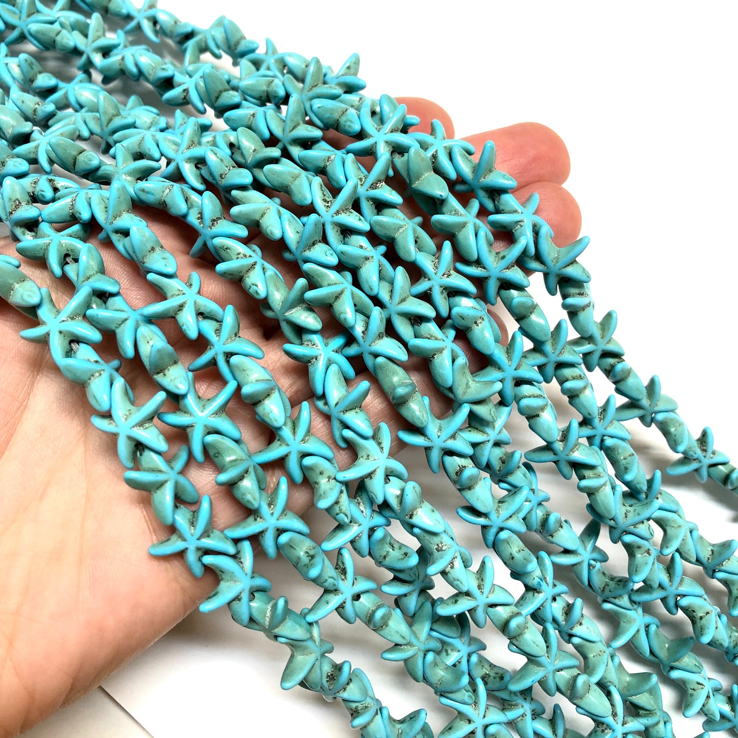 Havlit Deniz Yıldızı-Turkuaz