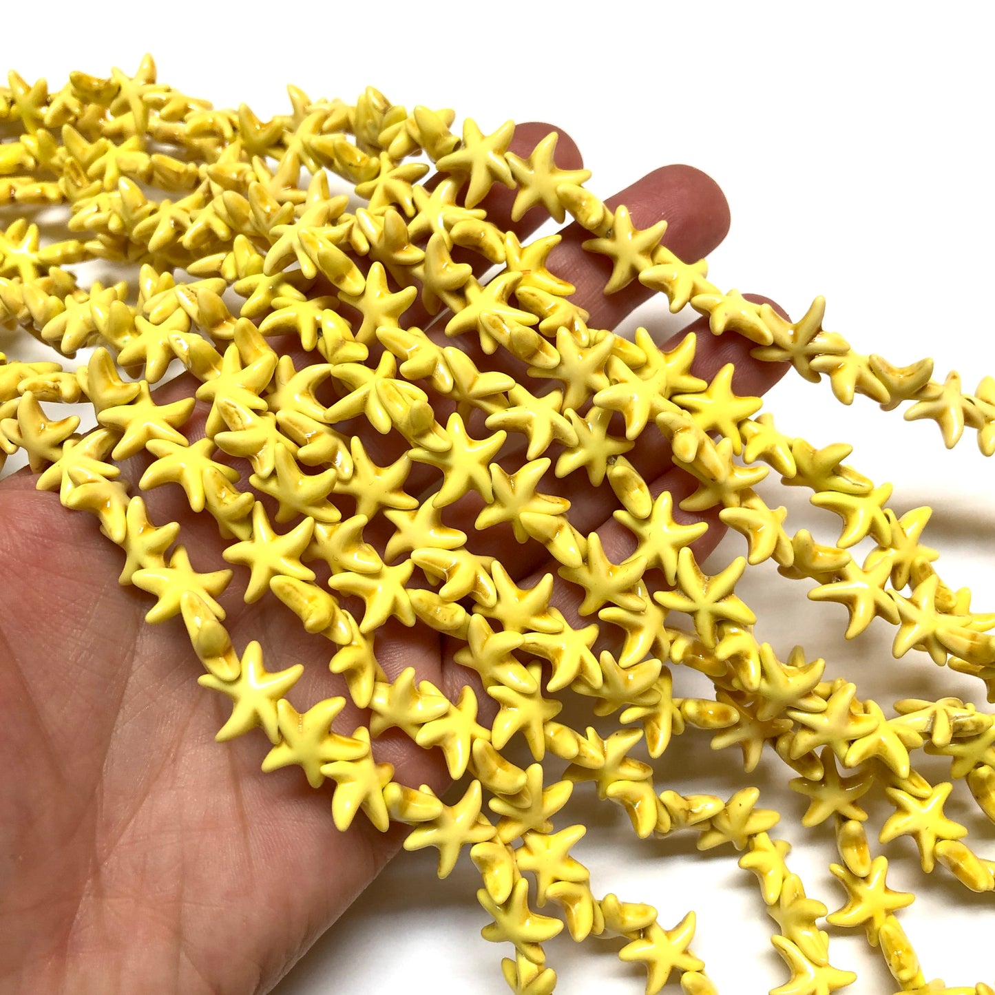 Havlit Deniz Yıldızı - Sarı