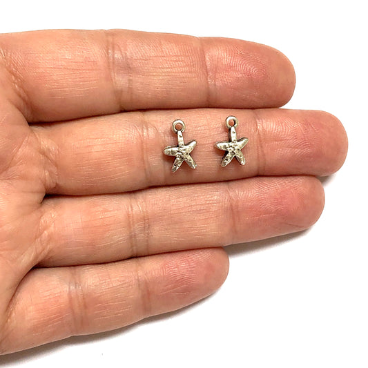 Antik Gümüş Kaplama Deniz Yıldızı (Küçük)