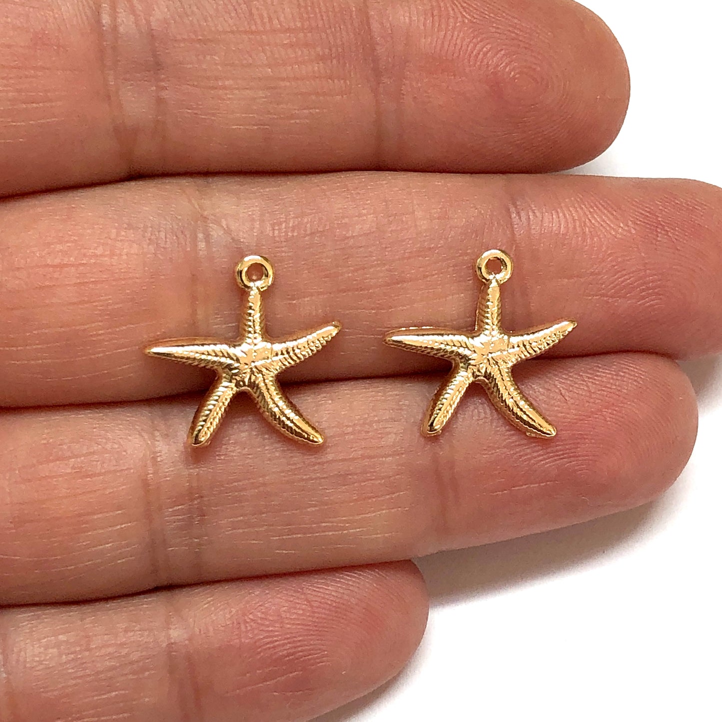 Altın Kaplama Deniz Yıldızı (Büyük)