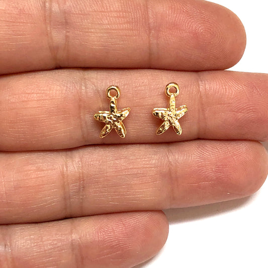 Altın Kaplama Deniz Yıldızı (Küçük)