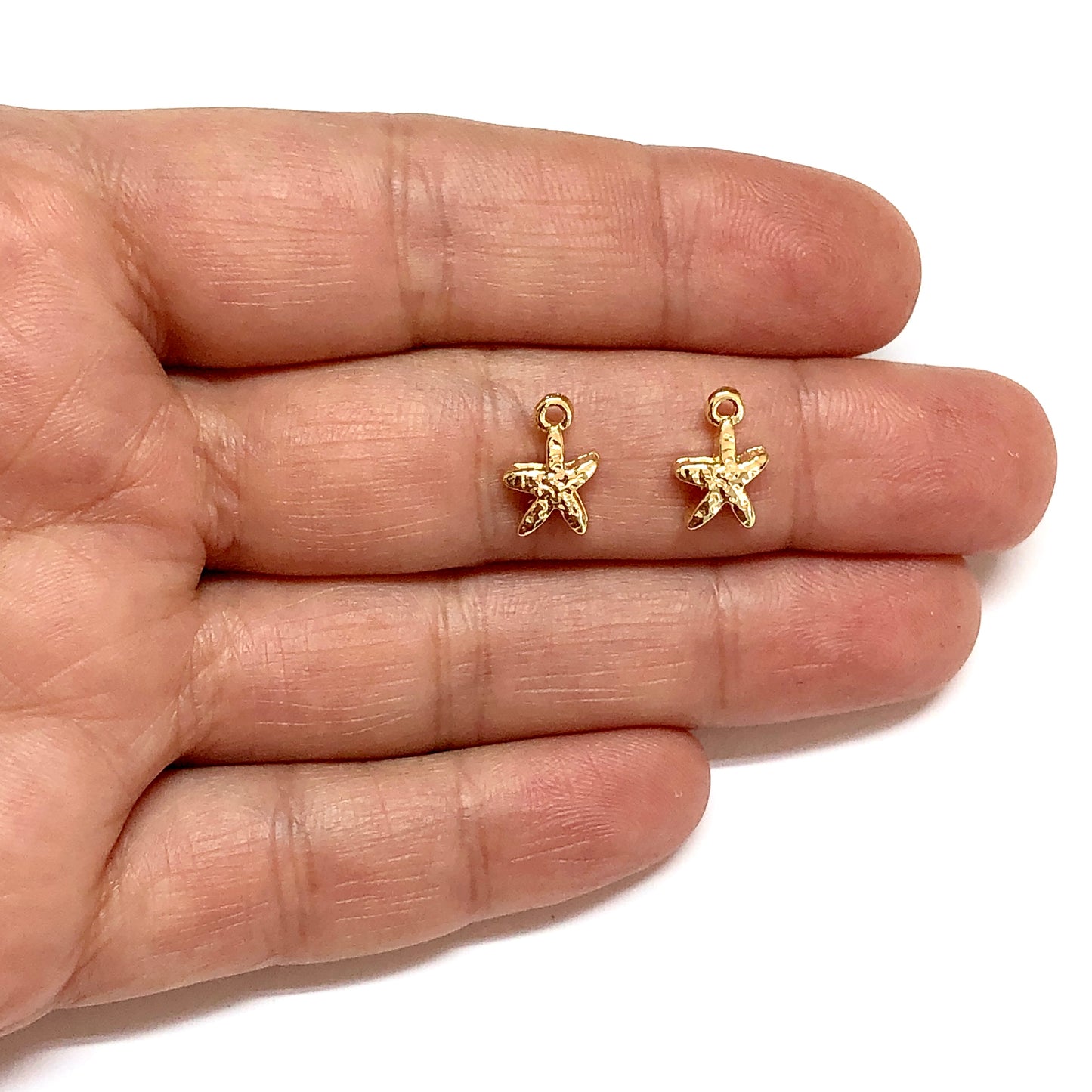 Altın Kaplama Deniz Yıldızı (Küçük)