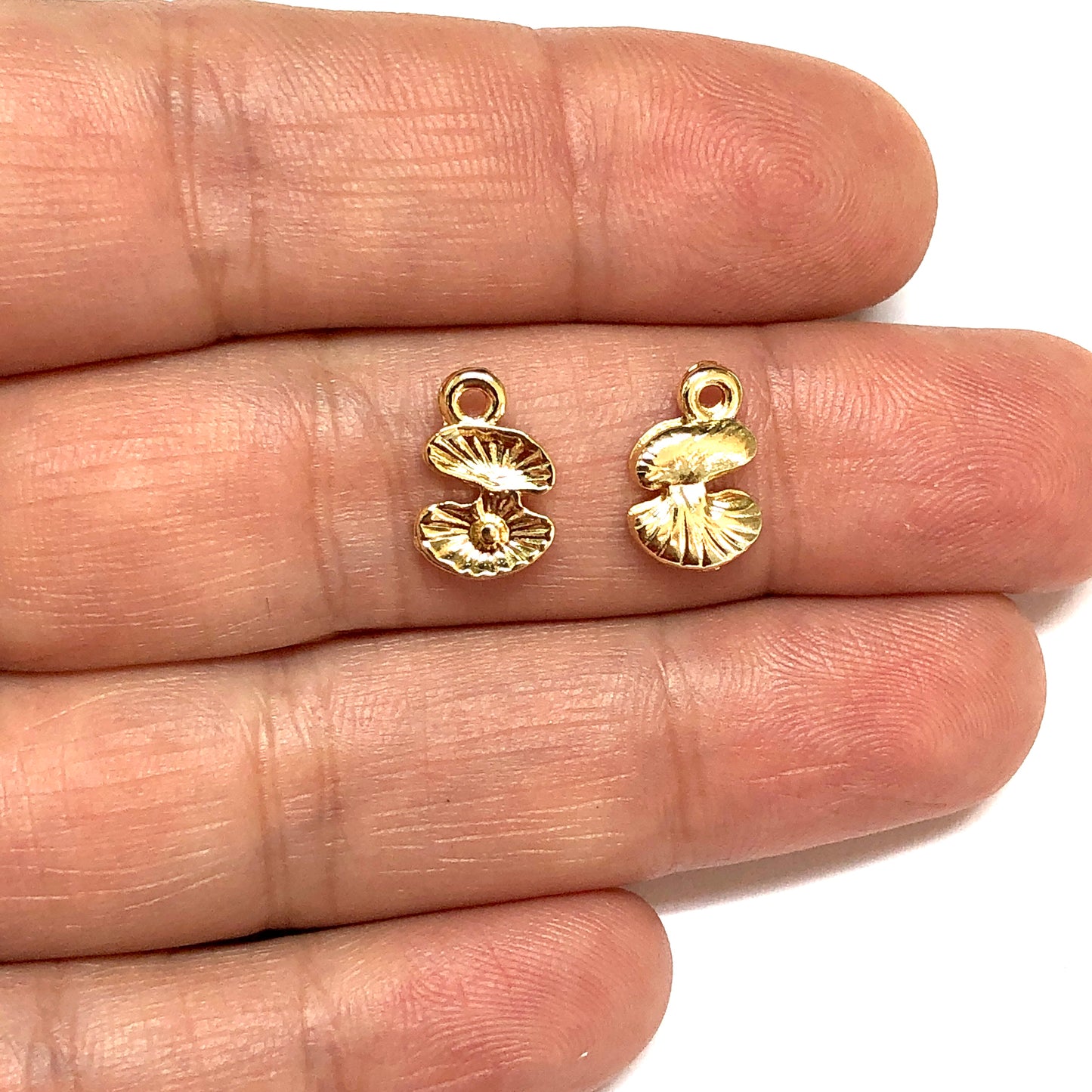 Altın Kaplama İncili İstiridye