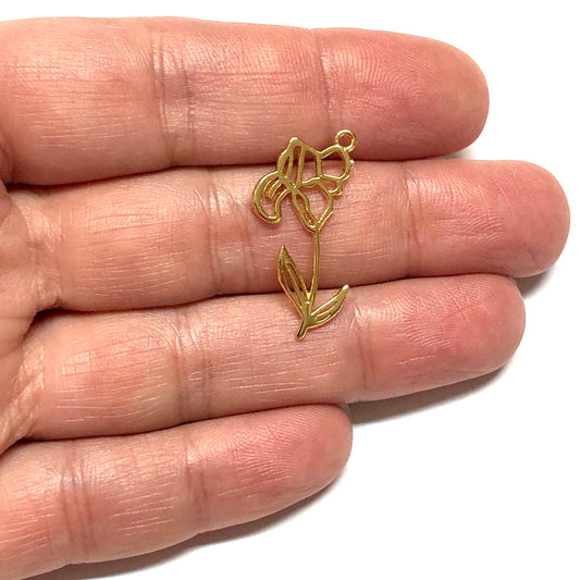 Altın Kaplama Burç Çiçeği - Şubat - İris