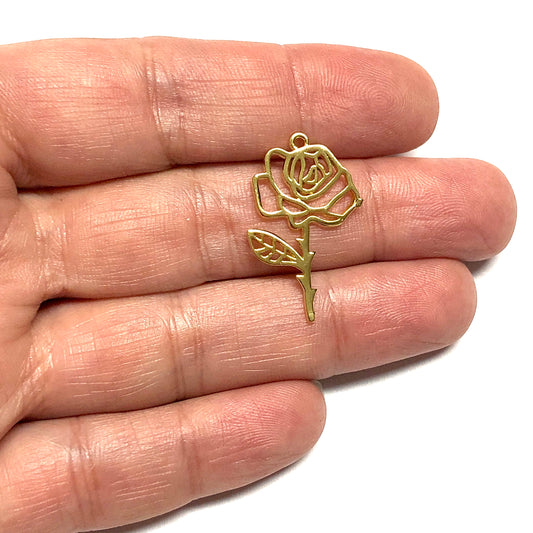 Altın Kaplama Burç Çiçeği - Haziran - Gül⁸