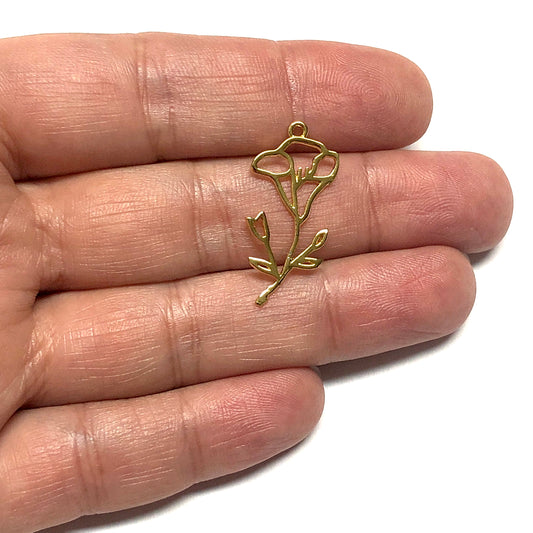 Altın Kaplama Burç Çiçeği - Eylül - Gündüz Sefası