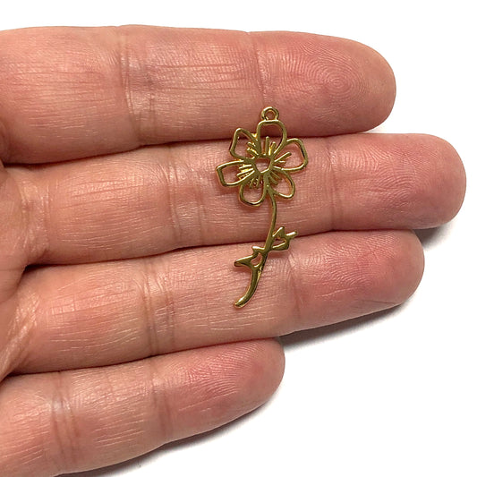 Altın Kaplama Burç Çiçeği - Ekim - Kozmos