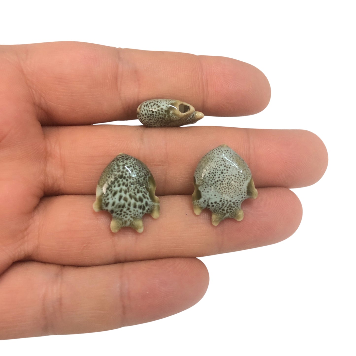 Seramik Balık - Benekli Su Yeşili