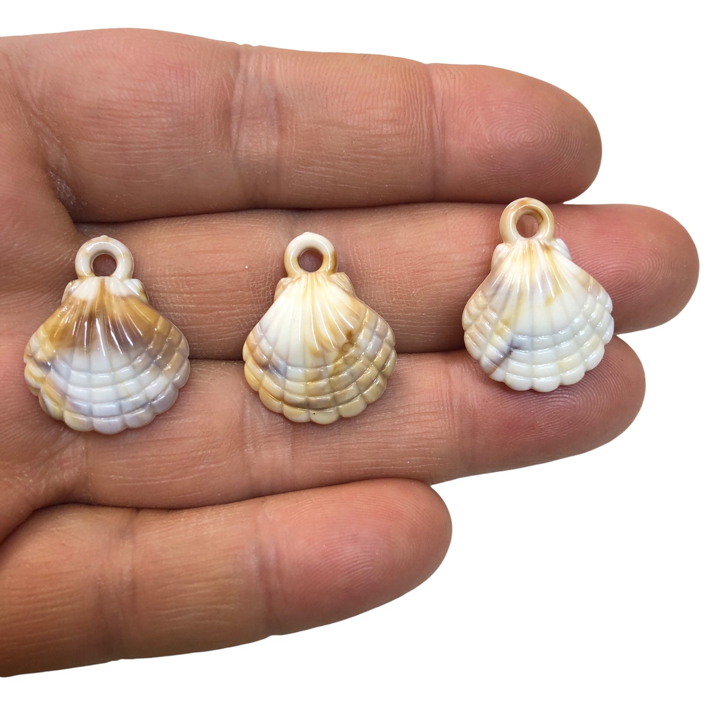 Akrilik Sallantı Deniz Kabuğu - 22mm