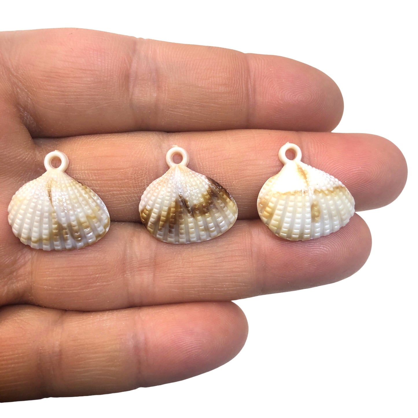 Akrilik Sallantı Deniz Kabuğu - 19mm