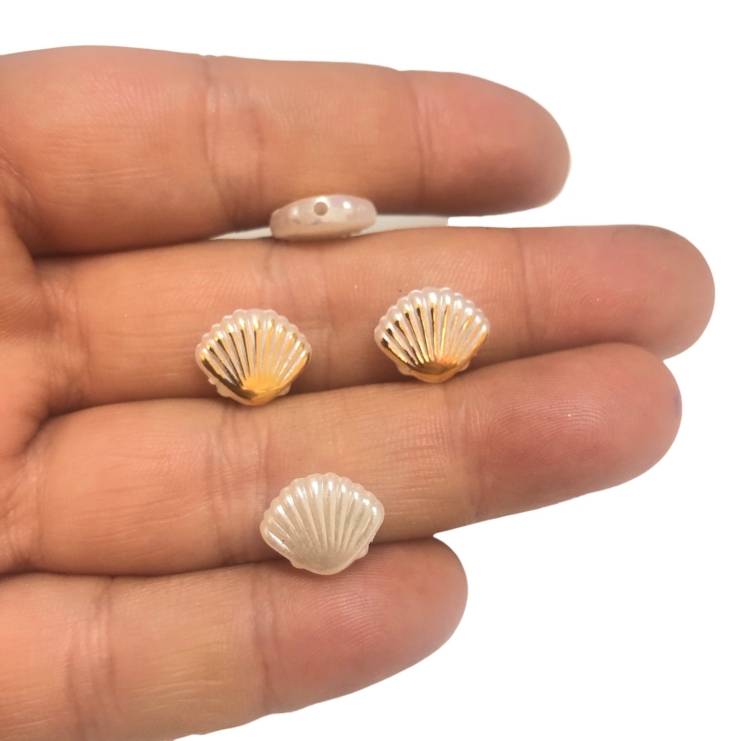 Akrilik Altın Yaldızlı İstiridye-1