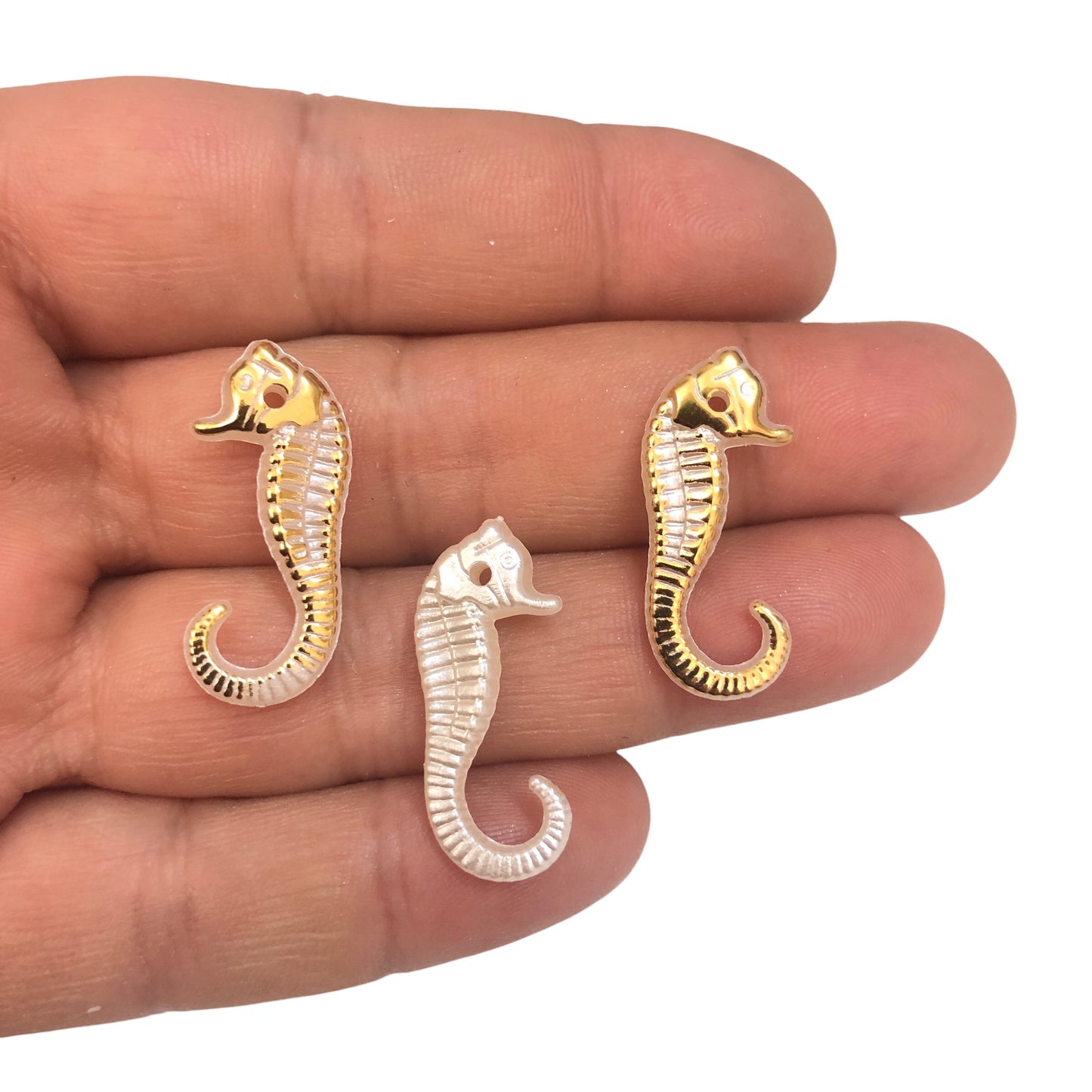 Akrilik Altın Yaldızlı Sallantı Denizatı