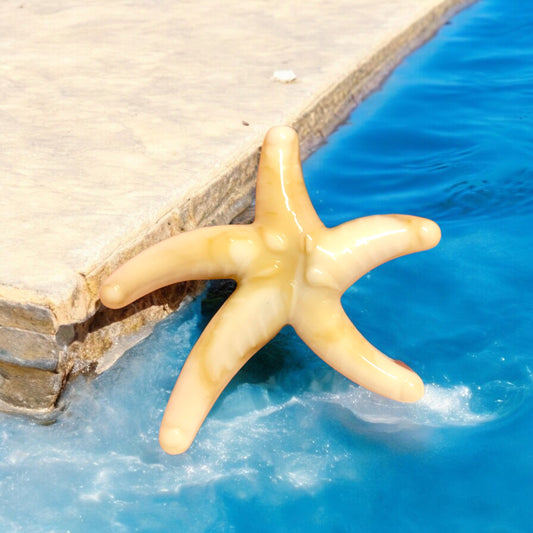 Akrilik Büyük Deniz Yıldızı -Krem