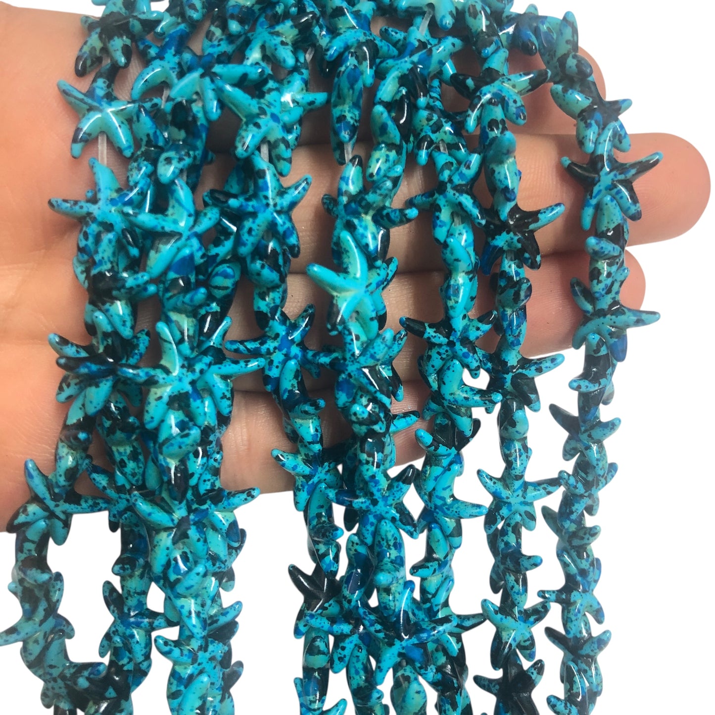 Havlit Deniz Yıldızı - Turkuaz Mix