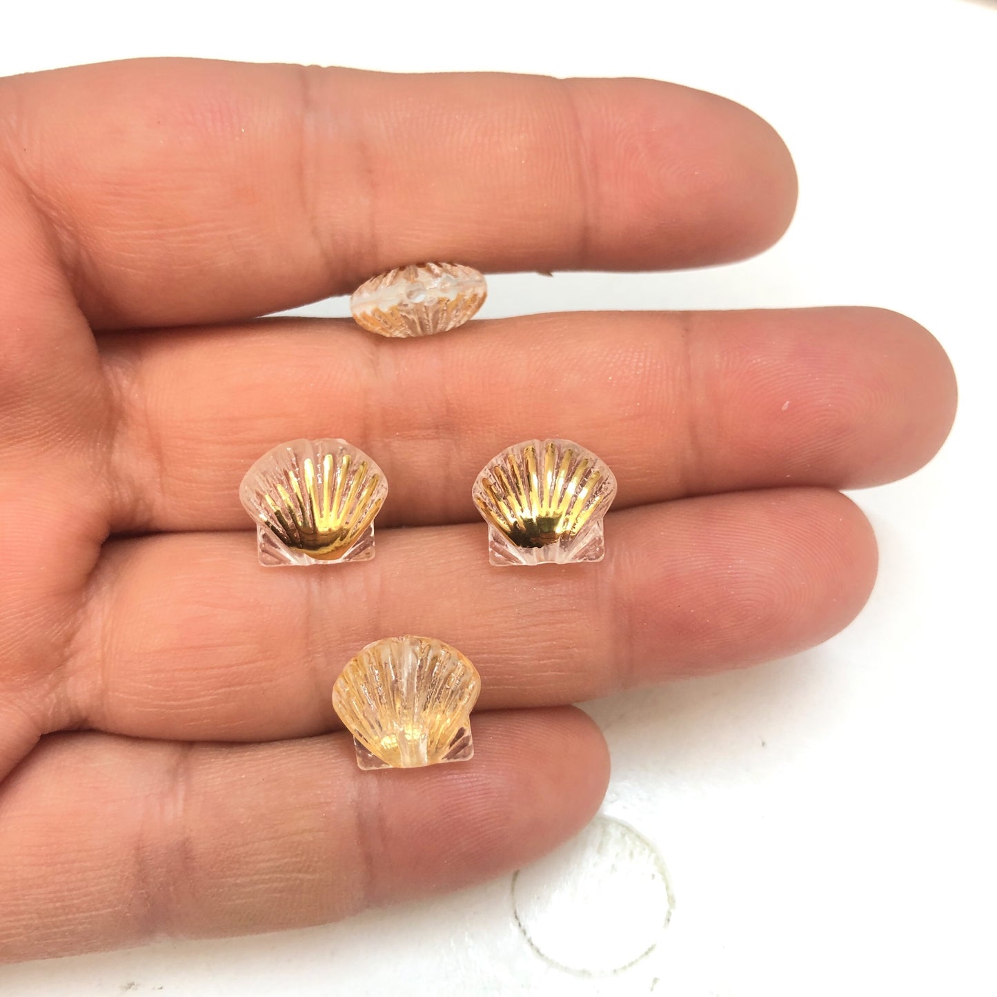 Akrilik  Şeffaf Altın Yaldızlı  İstridye