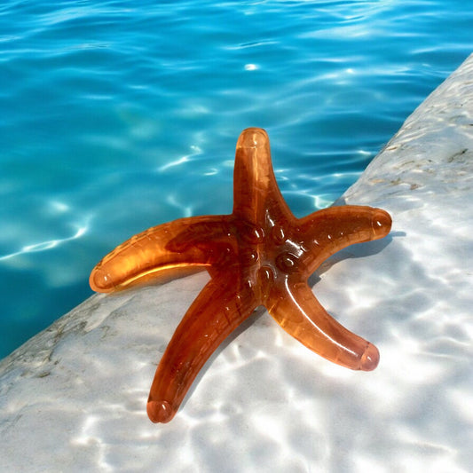 Akrilik Büyük Deniz Yıldızı -Kahverengi