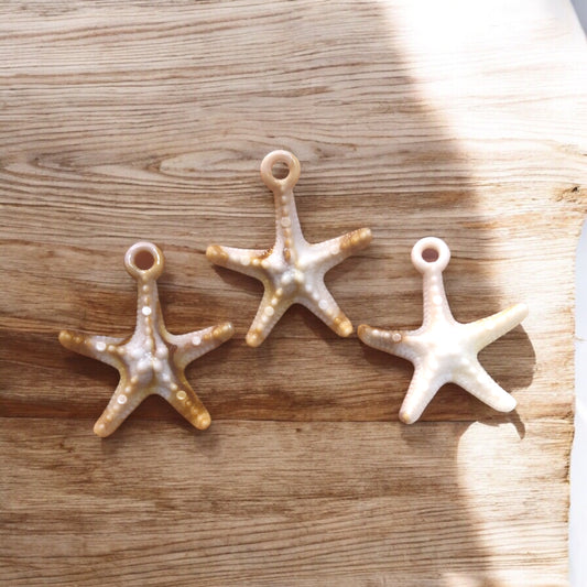 Akrilik Dokulu Deniz Yıldızı -32mm