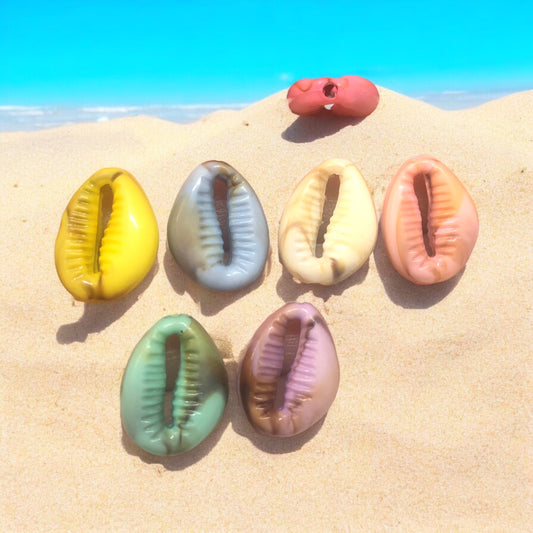 Akrilik Deniz Kabuğu Delikli Karışık Renkli