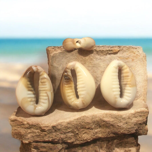 Akrilik Deniz Kabuğu Delikli Krem