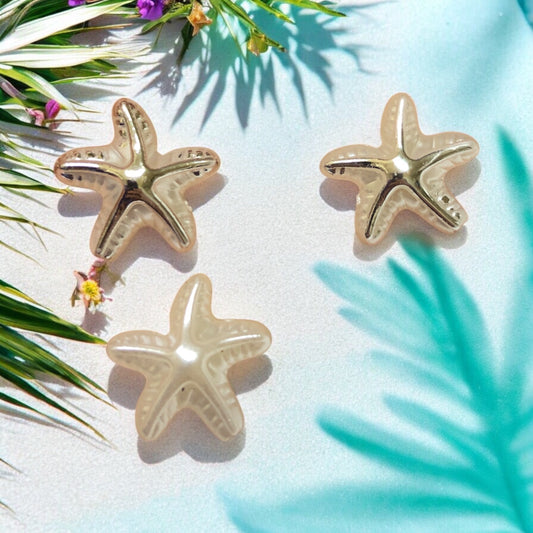 Akrilik  Gümüş Yaldızlı Deniz Yıldızı