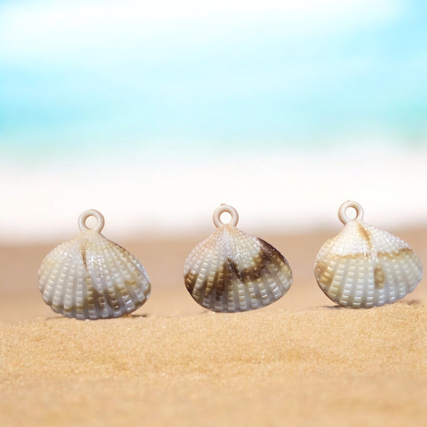 Akrilik Sallantı Deniz Kabuğu - 19mm