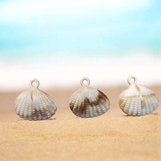 Akrilik Sallantı Deniz Kabuğu - 19mm