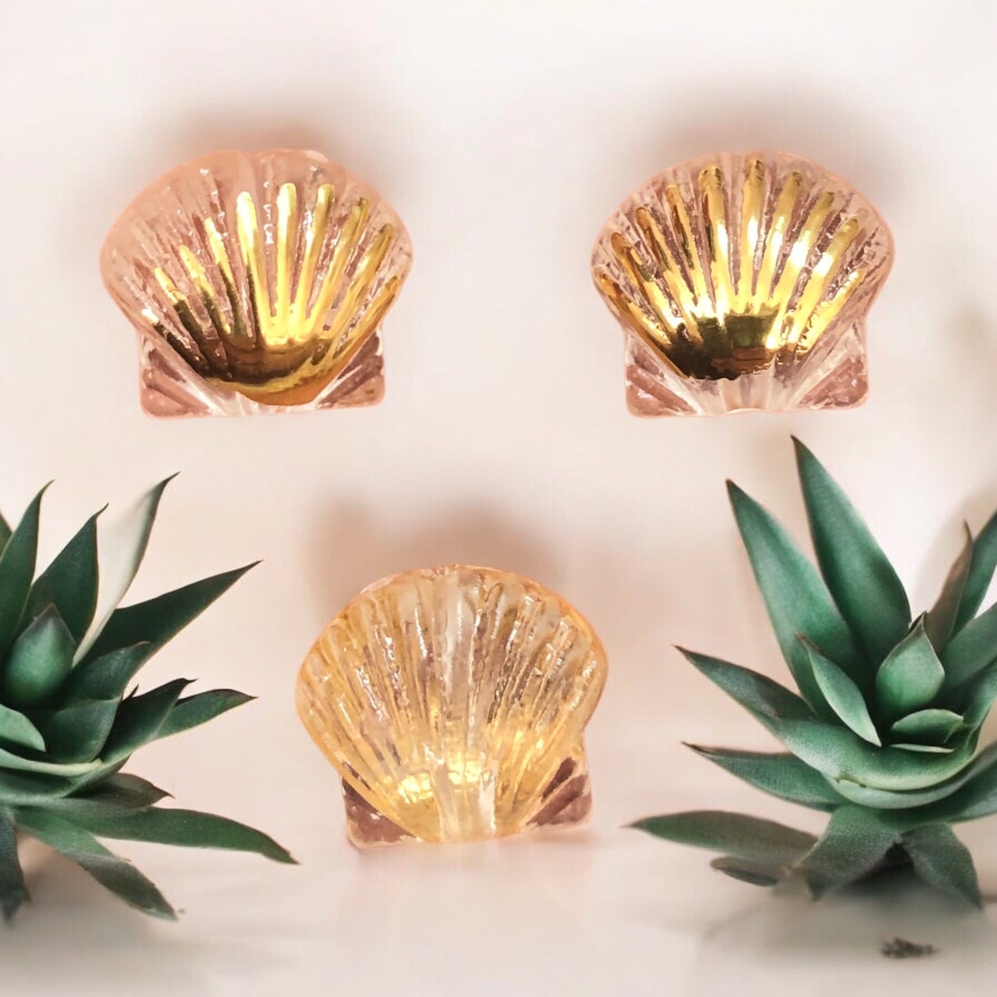 Akrilik  Şeffaf Altın Yaldızlı  İstridye