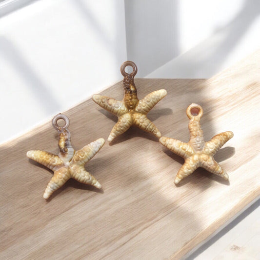 Akrilik Dokulu Deniz Yıldızı - 29mm