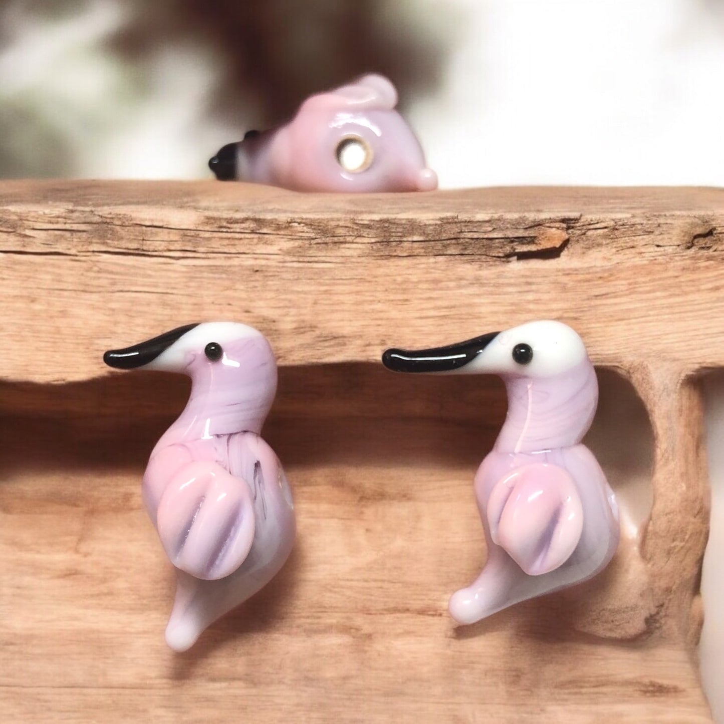 Murano Cam - Flamingo