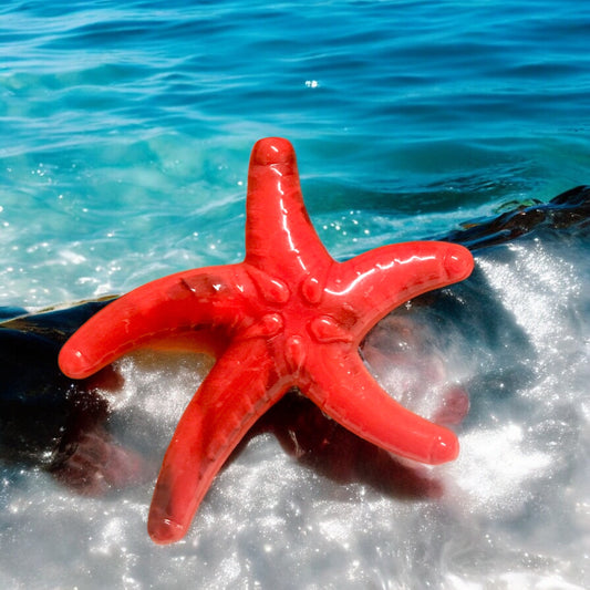Akrilik Büyük Deniz Yıldızı -Kırmızı