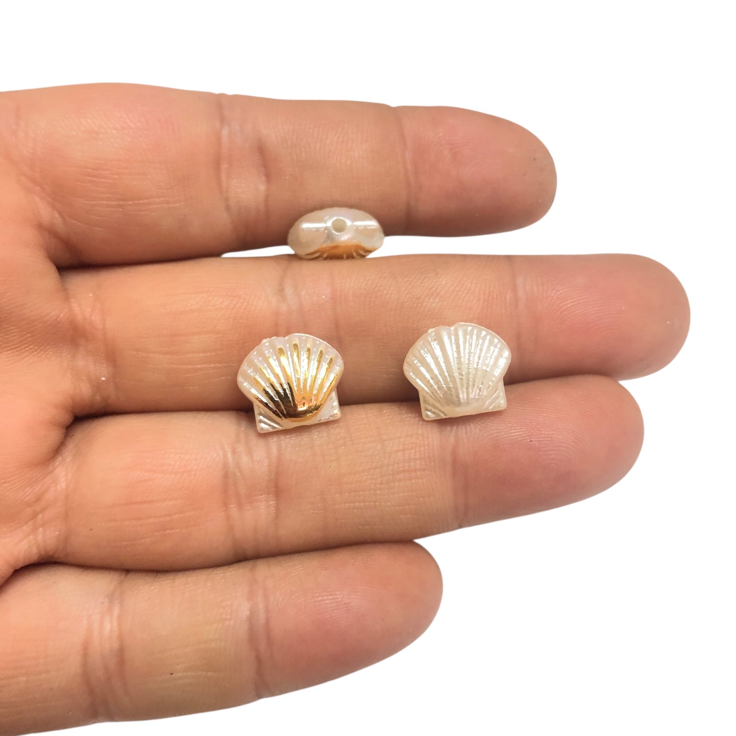 Akrilik  Altın Yaldızlı İstiridye-2