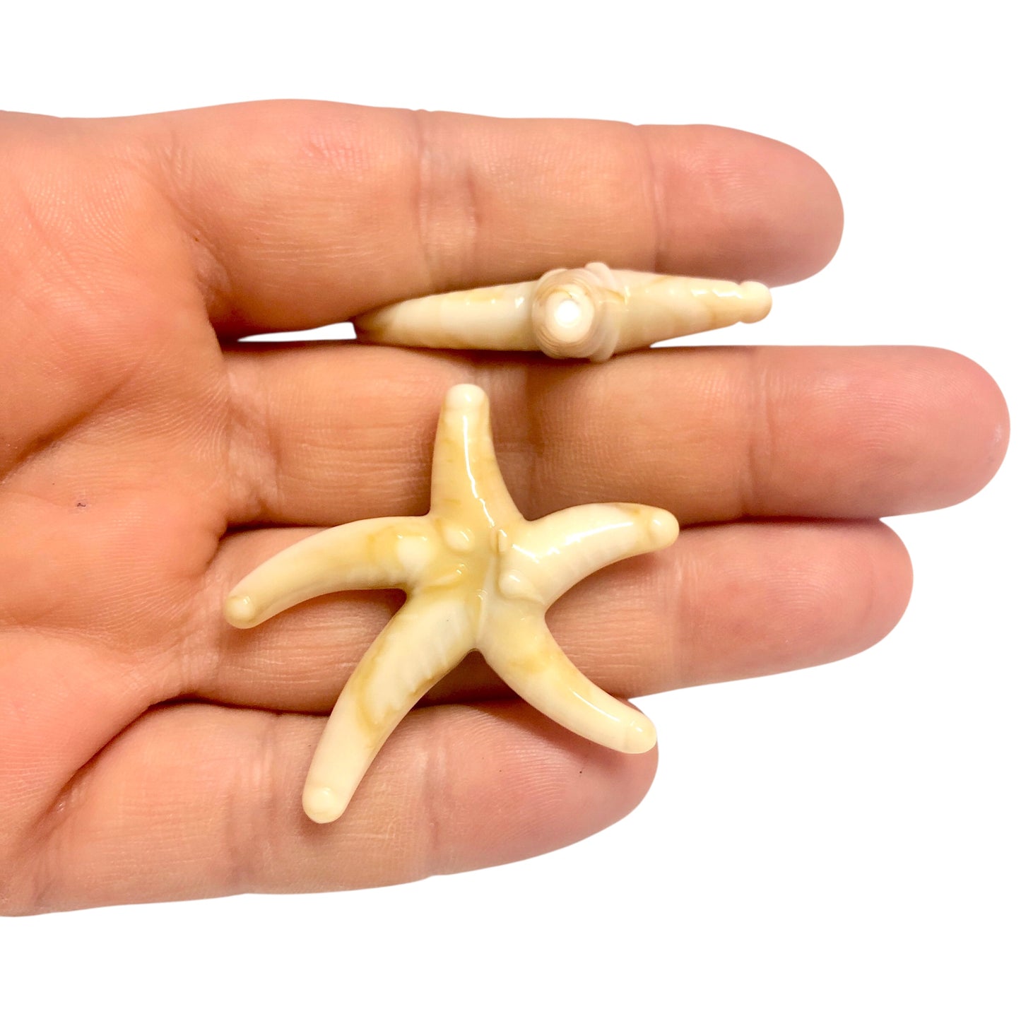 Akrilik Büyük Deniz Yıldızı -Krem